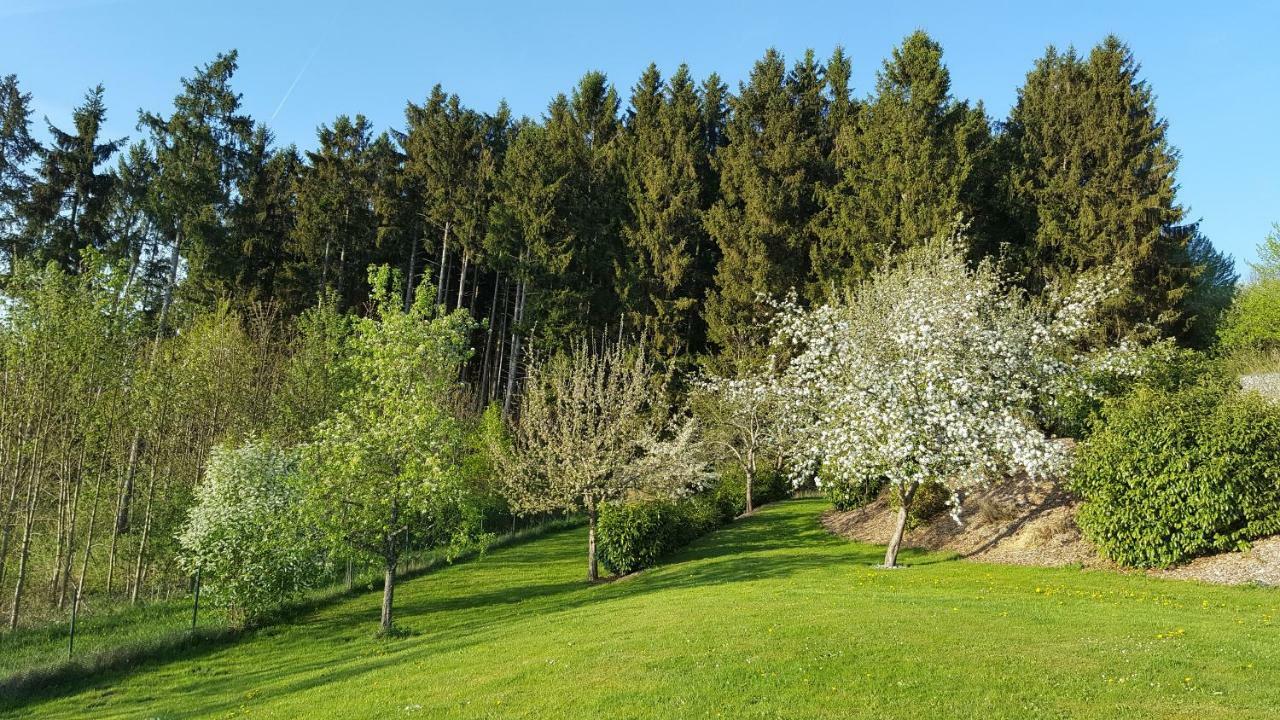 Ferienwohnung Am Waldrand Herdwangen-Schonach Exterior photo
